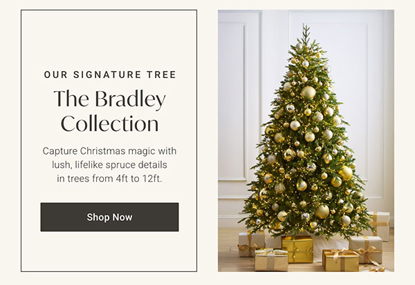 The Bradley Collection - Shop Now