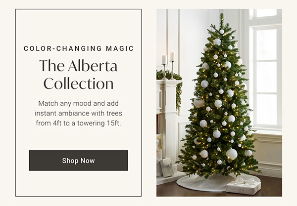 The Alberta Collection - Shop Now