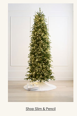 Shop Slim & Pencil Trees Category