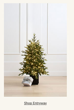 Shop Entryway Trees Category