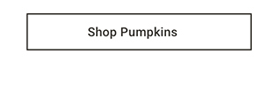 Shop Pumpkins >
