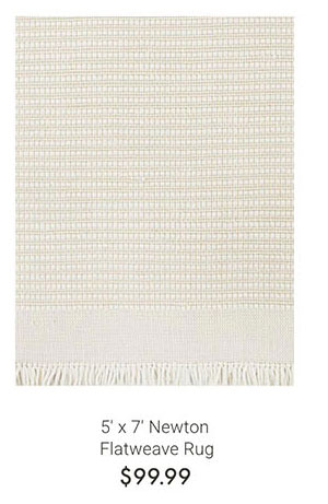 5' x 7' Newton Flatweave Rug