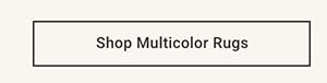 Shop Multicolor Rugs