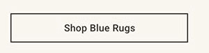 Shop Blue Rugs