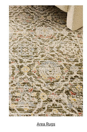 Shop Area Rugs Category