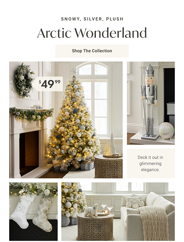 Arctic Wonderland | Shop the Collection >