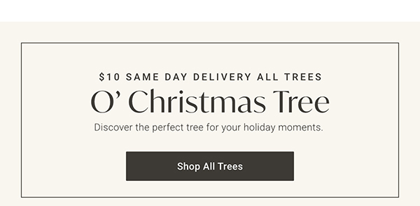 O' Christmas Tree | Shop All Trees >