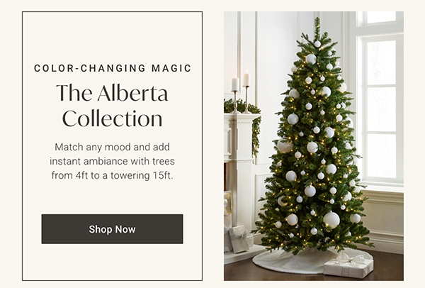 The Alberta Collection | Shop the Collection >