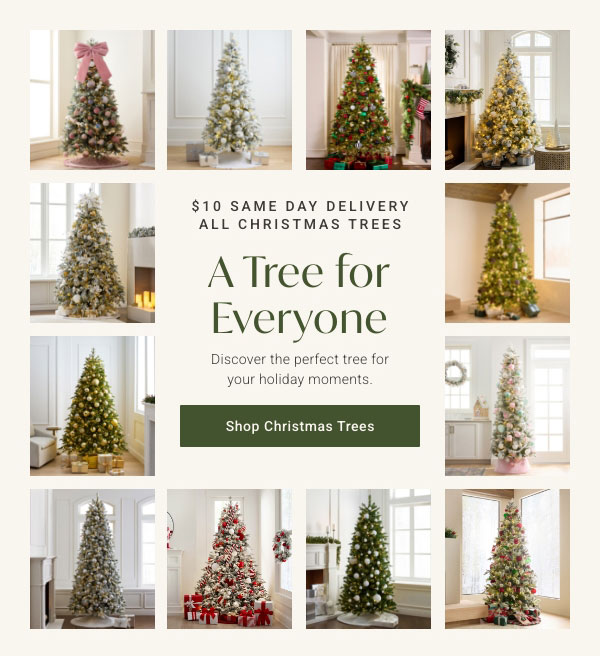 A Tree for Everyone: Shop Christmas Trees