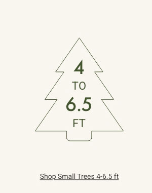 Shop Small Trees 4 - 6.5ft