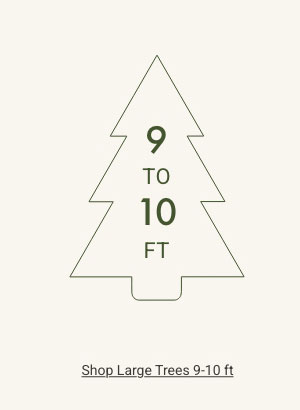 Shop Large Trees 9 - 10ft