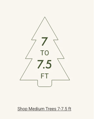Shop Medium Trees 7 - 7.5ft