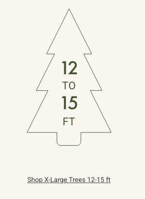 Shop Extra-Large Trees 12 - 15ft
