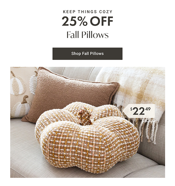 25% Off Fall Pillows | Shop Now >