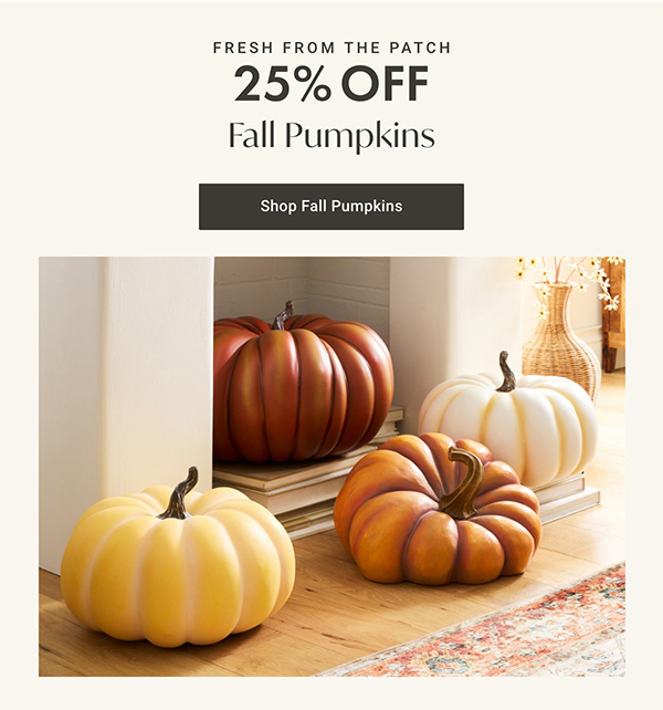 25% Off Fall Pumpkins | Shop Now >