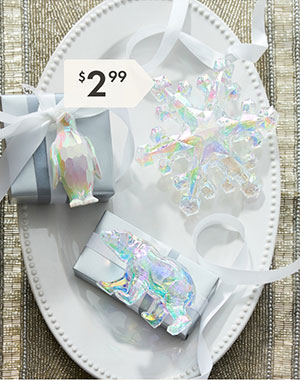 Iridescent Lifestyle Decor