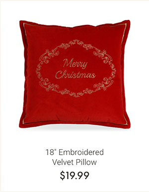 18" Embroidered Velvet Pillow