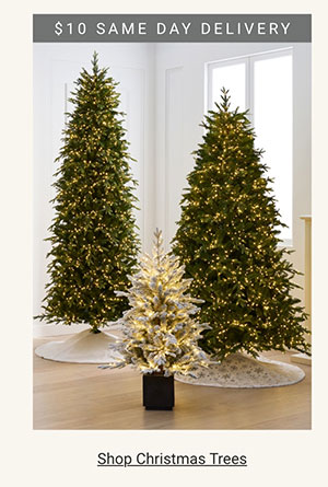 Shop Christmas Trees Category