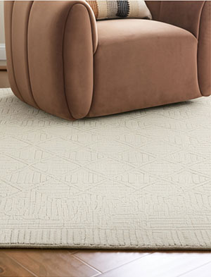 Lifestyle Rug Image
