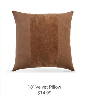 18" Velvet Pillow