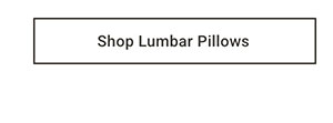 Shop Lumbar Pillows