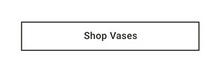 Shop Vases
