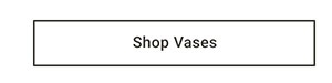 Shop Vases
