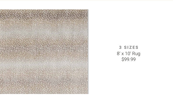8' x 10' Rug