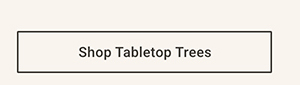 Shop Tabletop Trees >