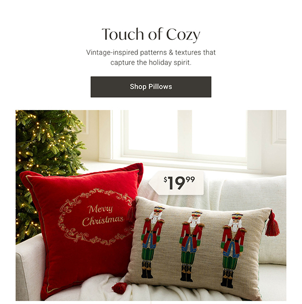 Touch of Cozy | Shop Pillows >