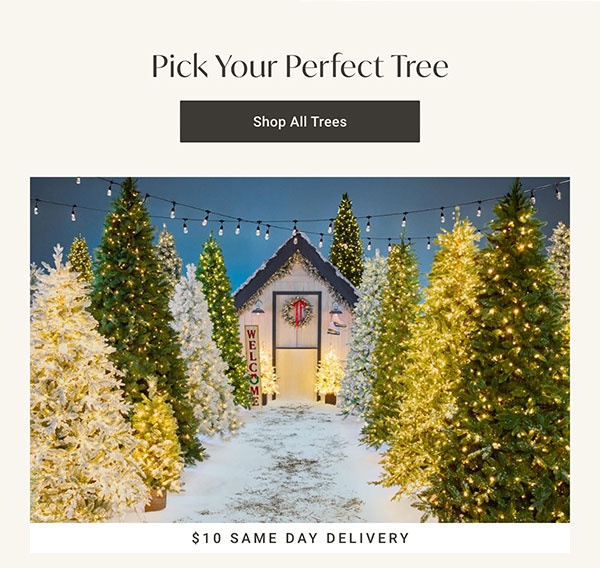 Pick Your Perfect Tree - Shop All Trees