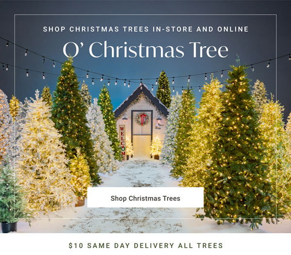 A Tree for Everyone: Shop Christmas Trees