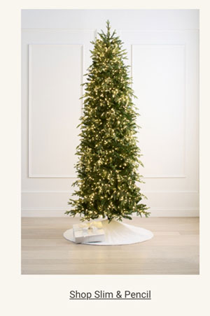 Shop Slim & Pencil Trees