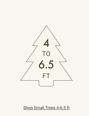 Shop Small Trees 4 - 6.5ft