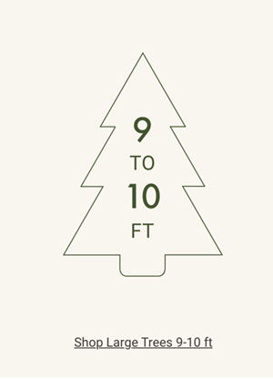 Shop Large Trees 9 - 10ft