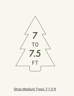 Shop Medium Trees 7 - 7.5ft