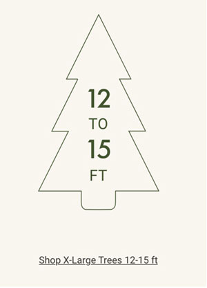 Shop Extra-Large Trees 12 - 15ft
