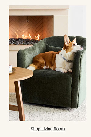 Shop Living Room Category