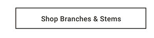 Shop Branches & Stems
