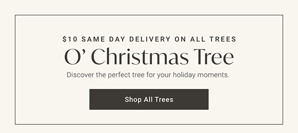 $10 Same Day Delivery All Christmas Trees - Shop All Trees