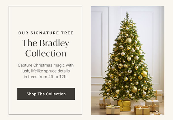The Bradley Collection - Shop Now