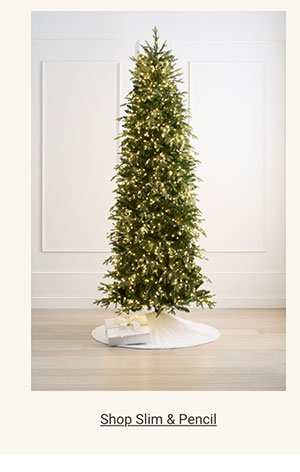 Shop Slim & Pencil Tree Category