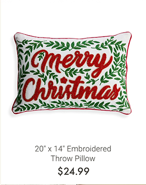 20" x 14" Embroidered Throw Pillow