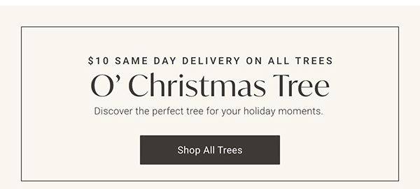O' Christmas Tree | Shop All Trees >