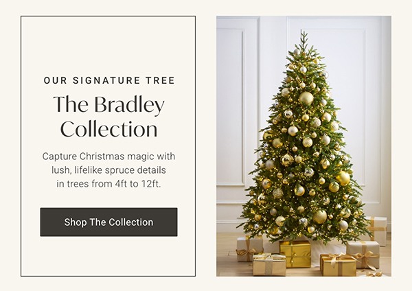 The Bradley Collection | Shop Now >