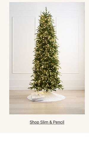 Shop Slim & Pencil Trees >