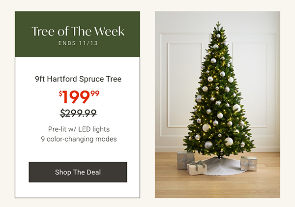 Tree of the Week: 9ft Harford Spruce Tree | Shop the Deal >
