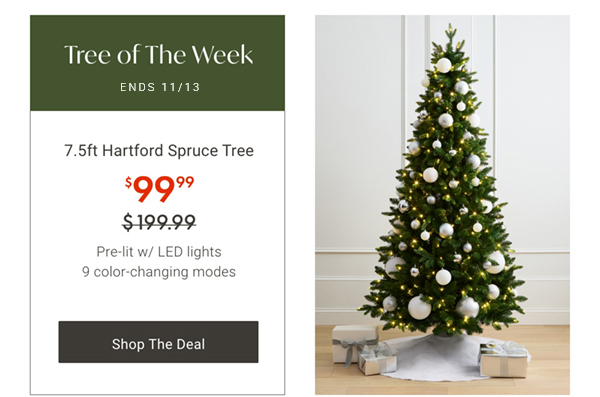Tree of the Week: 7.5ft Hartford Spruce Tree | Shop the Deal >