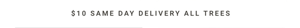 $10 Same Day Delivery All Trees