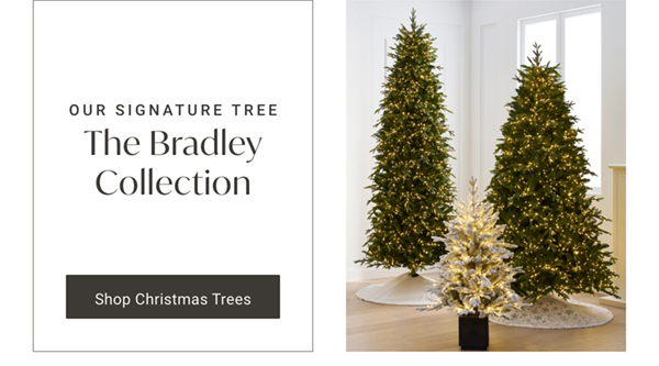 The Bradley Collection | Shop Now >